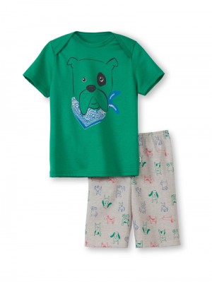 Pyjama Calida Toddlers Puppy Short Pyjama Niños Verdes | 4239YQBKV