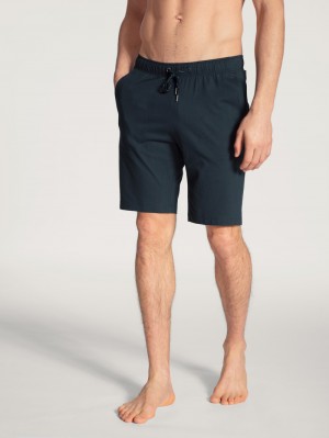 Ropa De Dormir Calida Remix Basic Sleep Bermudas Hombre Azules | 2837VXAIC