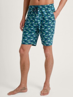 Ropa De Dormir Calida Rmx Sleep Weekend Bermudas Hombre Verdes | 2401DLRVA