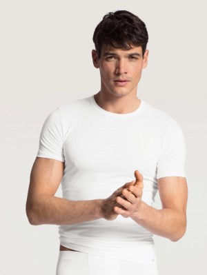 Ropa Interior Calida Evolution T-shirt Hombre Weiss | 6519CJBDP