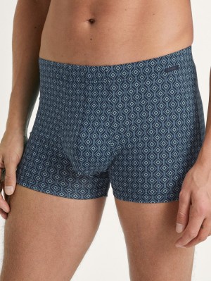 Ropa Interior Calida Grafic Cotton Boxer Brief Hombre Azules | 6127FGAZJ
