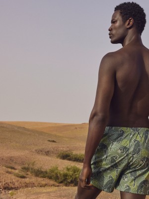 Ropa Interior Calida Prints Boxer Shorts Hombre Verdes | 8162TJFBM