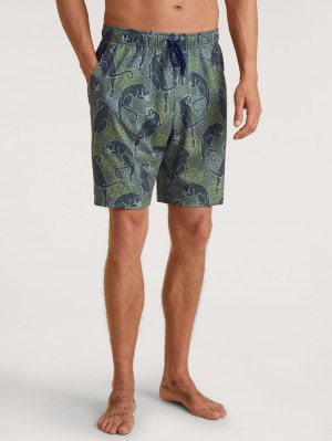 Summer Outfits Calida Rmx Sleep Holiday Bermudas Hombre Verdes | 6508CYFRS
